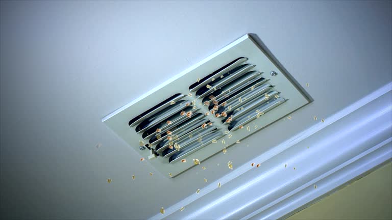 Best Best Air Duct Cleaning Company  in Slayton, MN