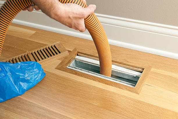 Best Air Vent Cleaning Services  in Slayton, MN